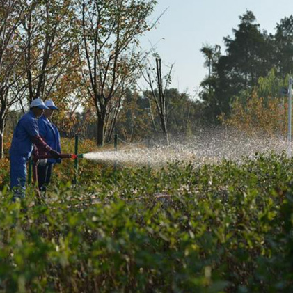 園林病蟲(chóng)防治